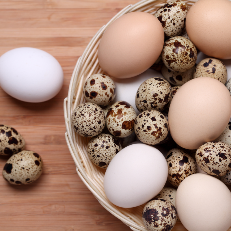 Fürjtojásos majonéz